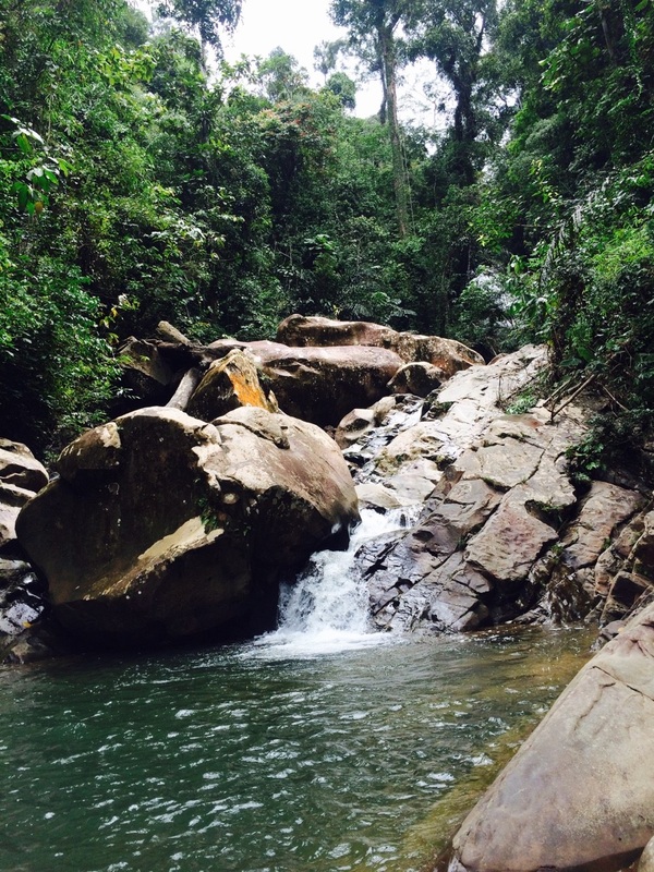 Clear stream with large rocks in Borneo rainforest.