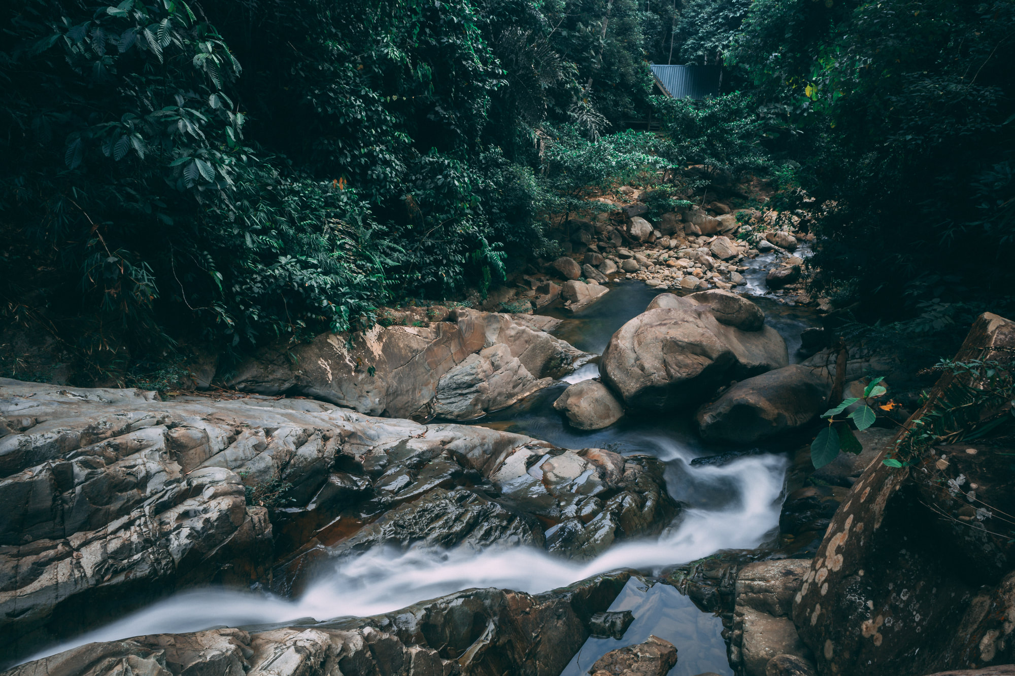 Rapids flowing over rocks in a Sabah rainforest stream