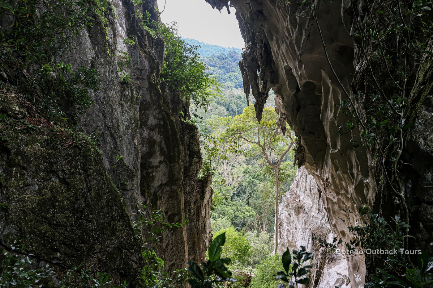 A climber on the limestone face of Batu Punggul, Sabah's climbable answer to the Mulu Pinnacles