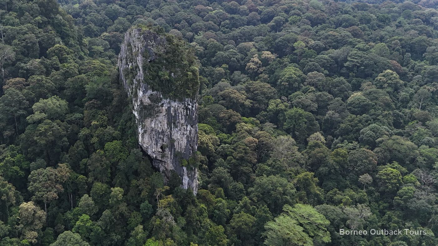 The Batu Punggul limestone pinnacle towering over unbroken rainforest in Sabah's interior