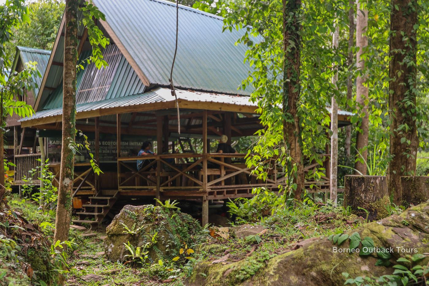 Timber camp hut on stilts under rainforest canopy at the Kabulongou ecotourism site in Sabah's interior