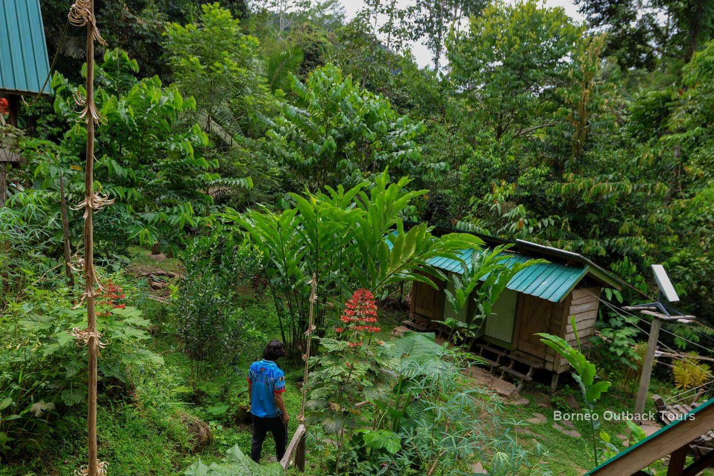 Simple eco-camp accommodation by the river at Kabulongou in Sabah, Borneo's affordable jungle stay