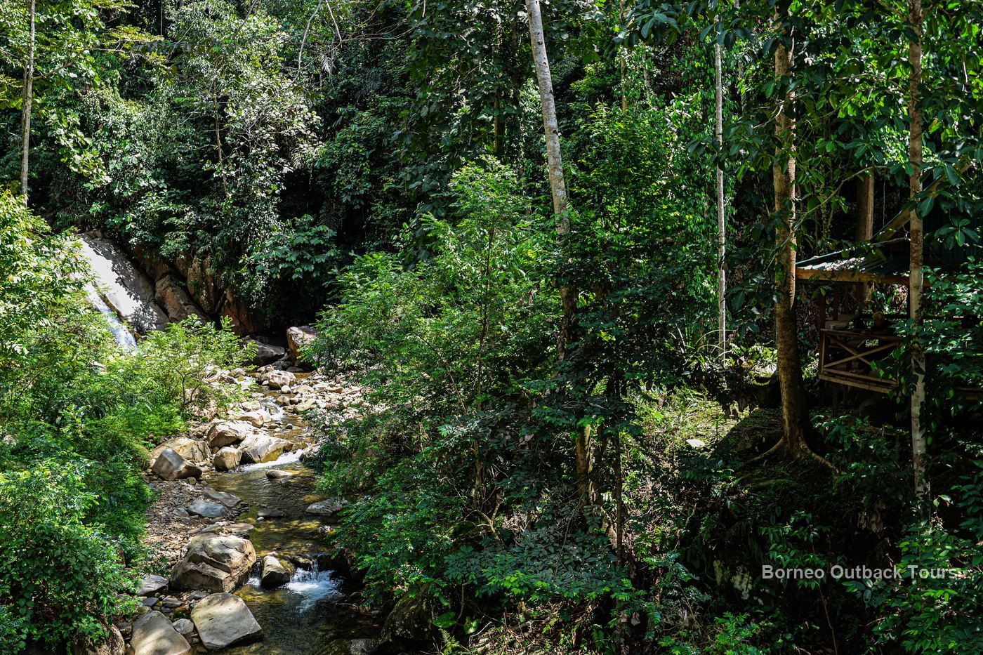 Cascades on the Kabulongou river flowing through rehabilitated rainforest, Sapulot, Sabah