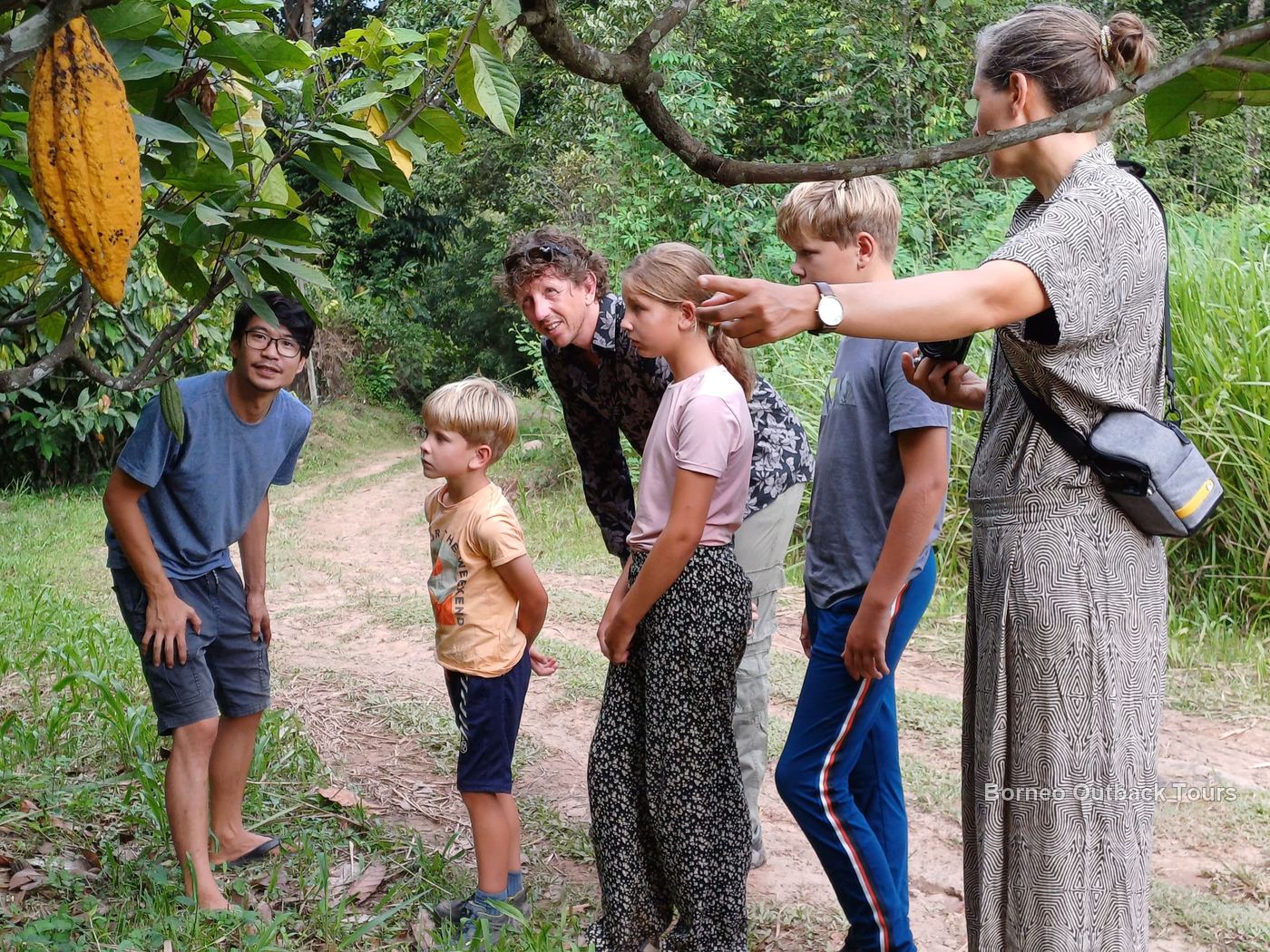 A guide and visitors beside a fruiting cocoa tree on the MunorAulai integrated farm, Sapulot
