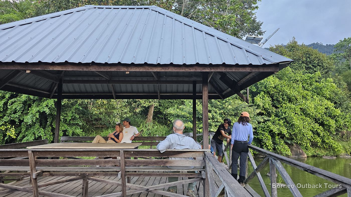 Guests resting in a roofed pavilion over the fish pond at MunorAulai, Sapulot