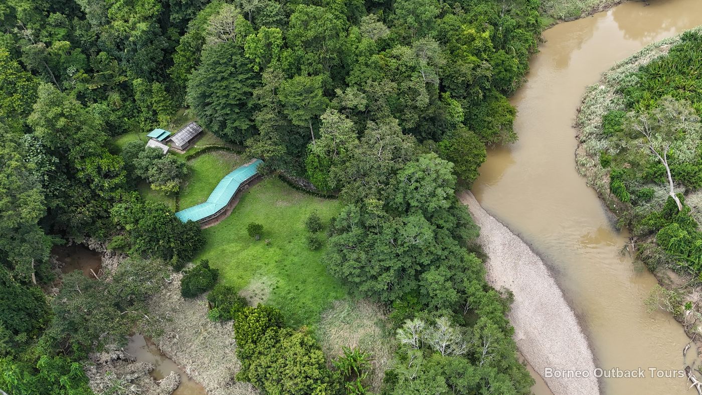 Aerial view of rainforest and a winding river under bright equatorial weather in Borneo