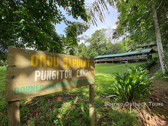 The signposted entrance to Orou Sapulot's Pungiton jungle camp in Sabah