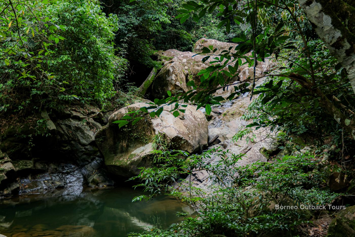 Emerald jungle stream and mossy boulders deep in the Sapulot rainforest, Sabah off the beaten path