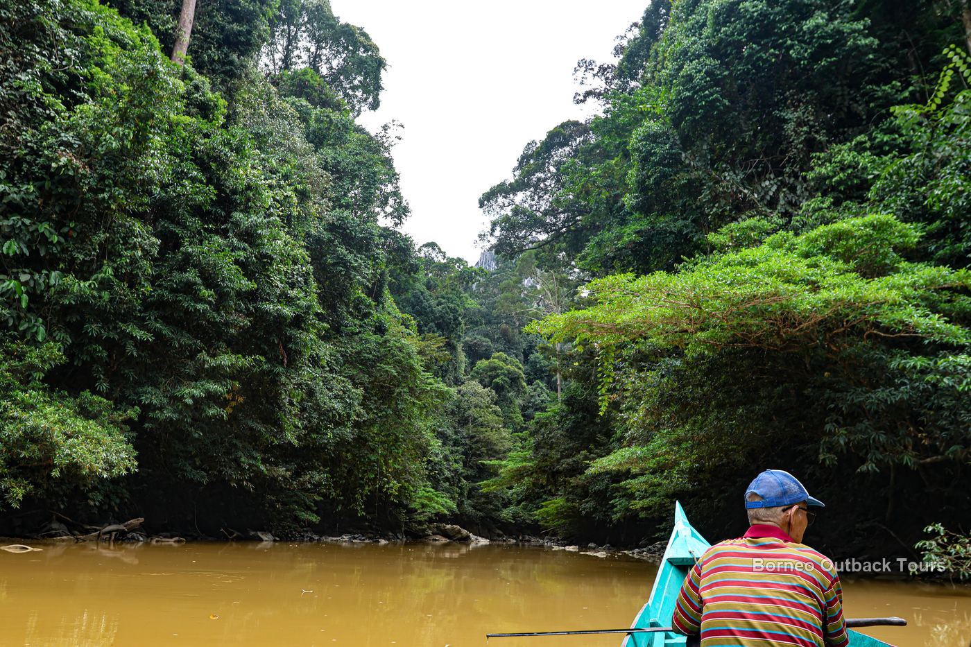 A jungle river in Sabah, Borneo, gateway to river cruise wildlife experiences