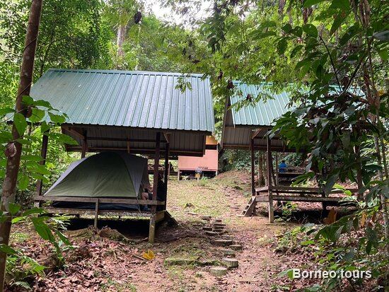 Wooden eco-camp huts in the rainforest at Vangkaakon in the Sapulot interior of Sabah