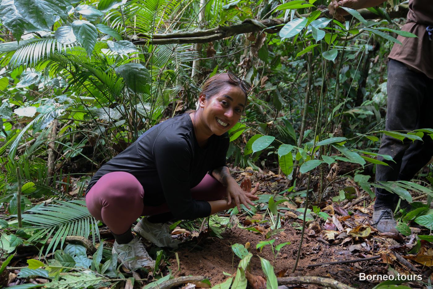 Trekking through jungle to reach a waterfall in the Sapulot interior of Sabah